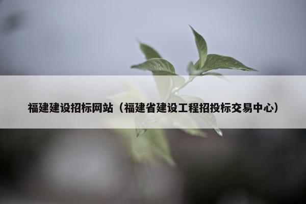 福建建设招标网站（福建省建设工程招投标交易中心）