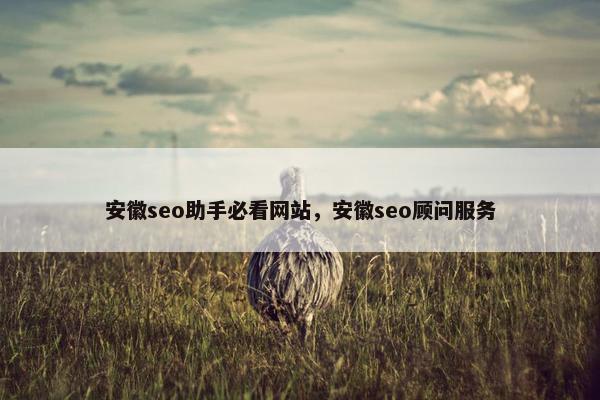 安徽seo助手必看网站，安徽seo顾问服务