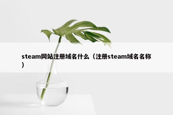 steam网站注册域名什么（注册steam域名名称）