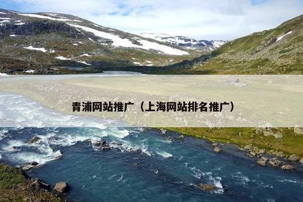 青浦网站推广（上海网站排名推广）