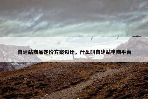 自建站商品定价方案设计，什么叫自建站电商平台