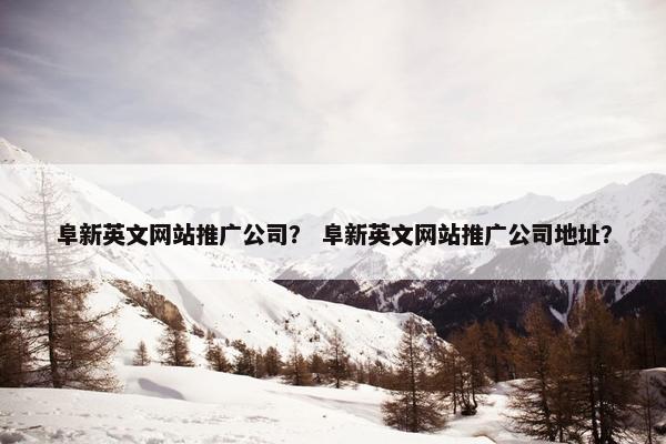 阜新英文网站推广公司？ 阜新英文网站推广公司地址？