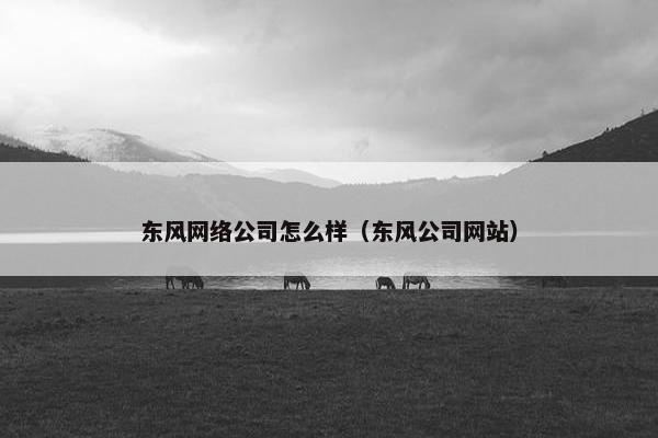 东风网络公司怎么样（东风公司网站）