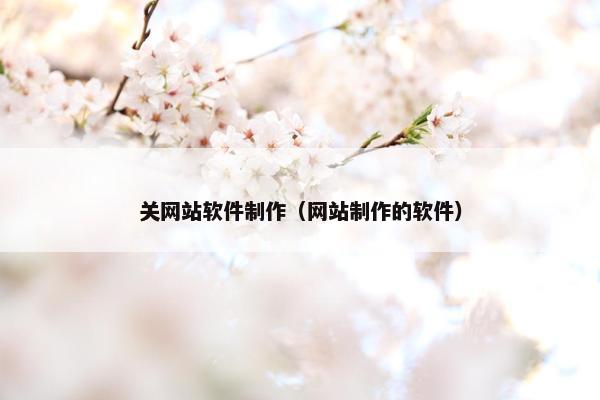 关网站软件制作（网站制作的软件）