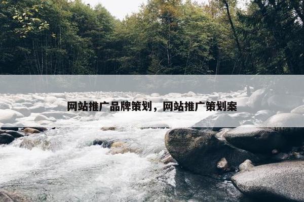 网站推广品牌策划，网站推广策划案