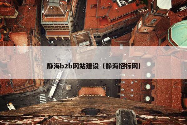 静海b2b网站建设（静海招标网）