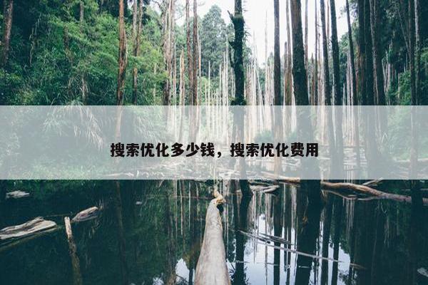 搜索优化多少钱，搜索优化费用
