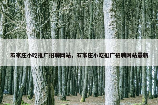 石家庄小吃推广招聘网站，石家庄小吃推广招聘网站最新
