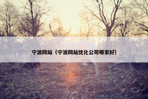 宁波网站（宁波网站优化公司哪家好）