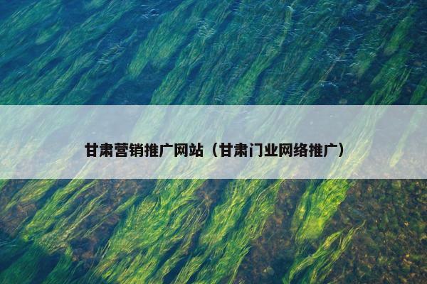 甘肃营销推广网站（甘肃门业网络推广）