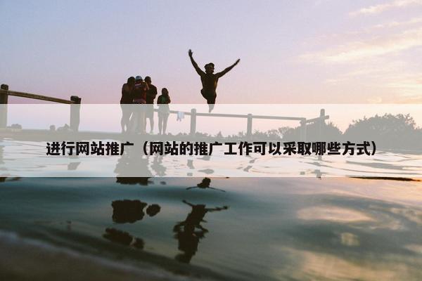 进行网站推广（网站的推广工作可以采取哪些方式）