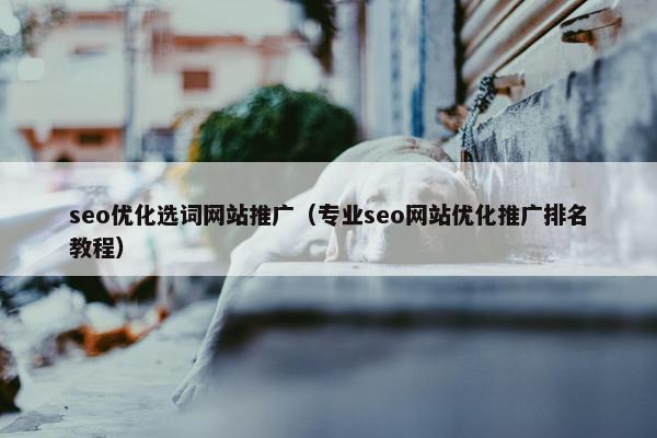 seo优化选词网站推广（专业seo网站优化推广排名教程）