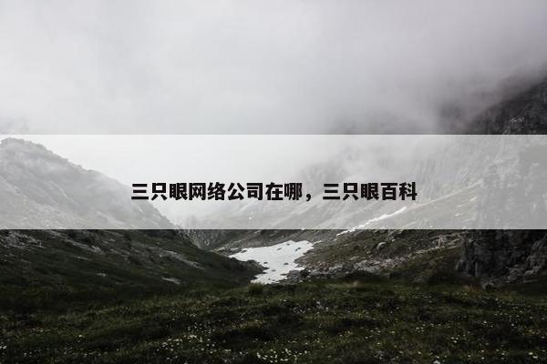三只眼网络公司在哪，三只眼百科