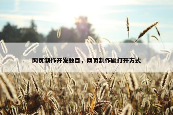 网页制作开发题目，网页制作题打开方式