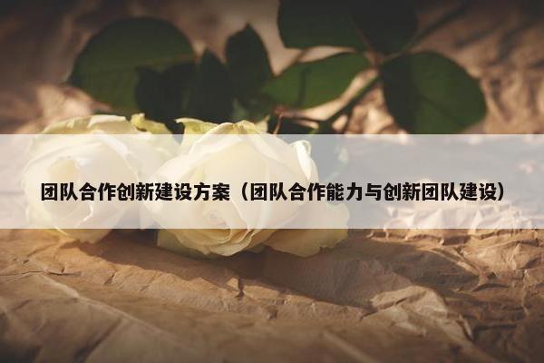 团队合作创新建设方案（团队合作能力与创新团队建设）