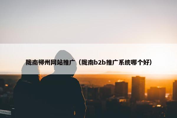陇南柳州网站推广（陇南b2b推广系统哪个好）