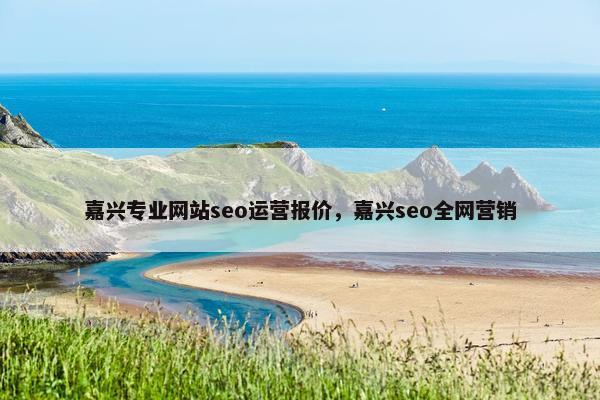 嘉兴专业网站seo运营报价，嘉兴seo全网营销