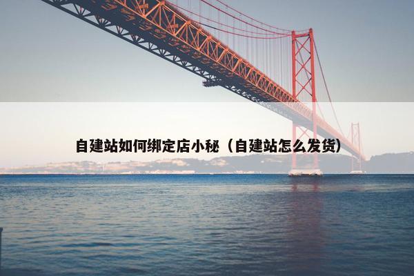 自建站如何绑定店小秘（自建站怎么发货）