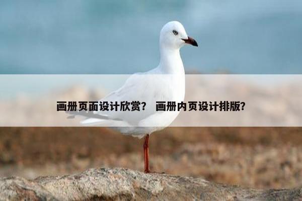 画册页面设计欣赏？ 画册内页设计排版？