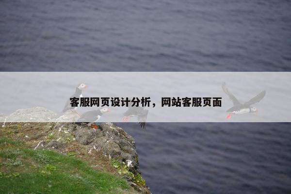 客服网页设计分析，网站客服页面
