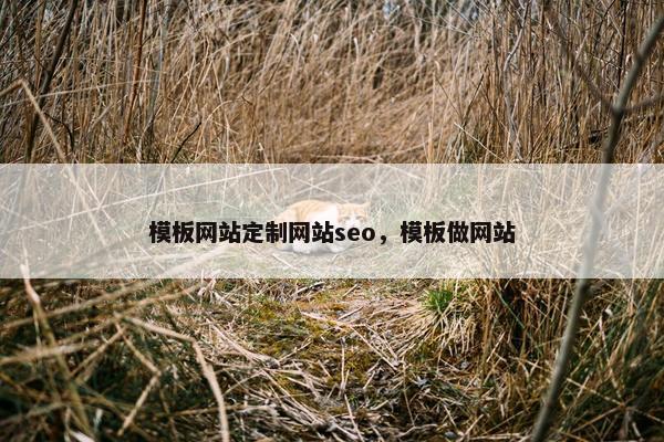 模板网站定制网站seo，模板做网站