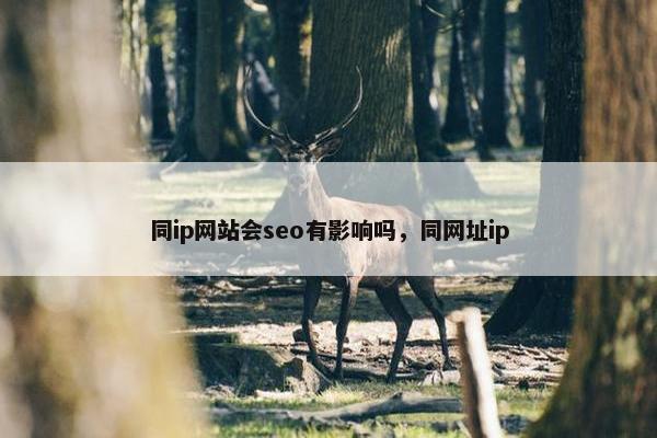 同ip网站会seo有影响吗，同网址ip
