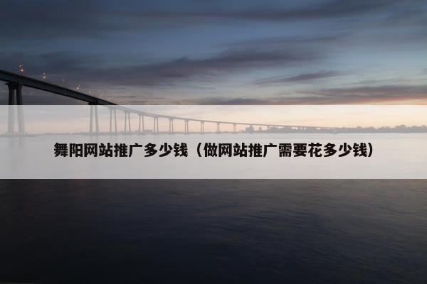 舞阳网站推广多少钱（做网站推广需要花多少钱）