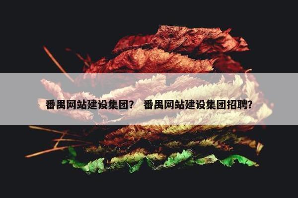番禺网站建设集团？ 番禺网站建设集团招聘？
