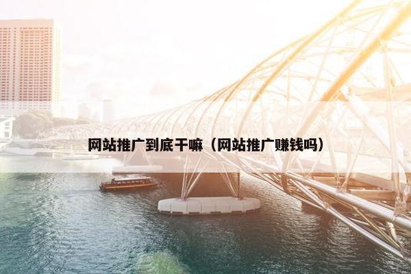 网站推广到底干嘛（网站推广赚钱吗）