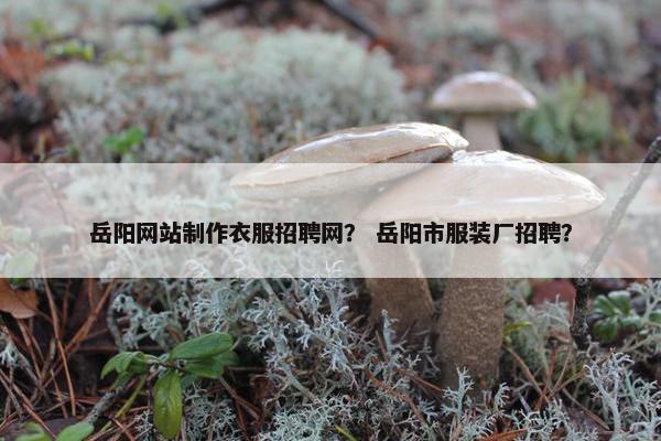 岳阳网站制作衣服招聘网？ 岳阳市服装厂招聘？