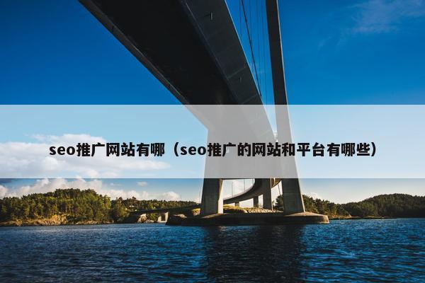 seo推广网站有哪（seo推广的网站和平台有哪些）