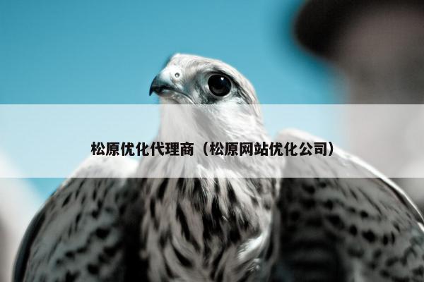 松原优化代理商（松原网站优化公司）