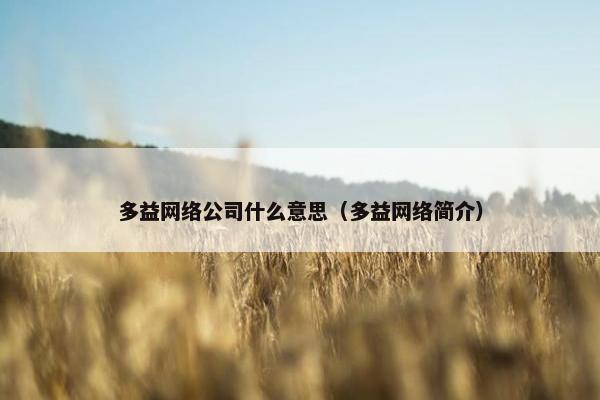 多益网络公司什么意思（多益网络简介）