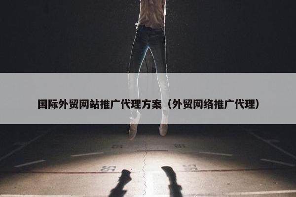 国际外贸网站推广代理方案（外贸网络推广代理）