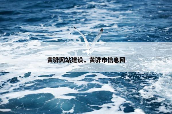 黄骅网站建设，黄骅市信息网