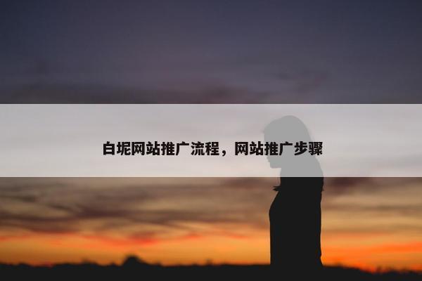 白坭网站推广流程，网站推广步骤