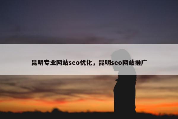 昆明专业网站seo优化，昆明seo网站推广