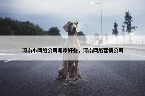 河南小网络公司哪家好些，河南网络营销公司