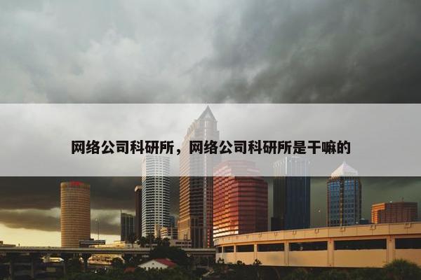 网络公司科研所，网络公司科研所是干嘛的
