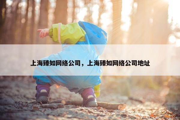 上海臻如网络公司，上海臻如网络公司地址