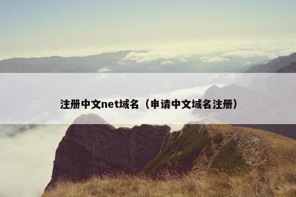 注册中文net域名（申请中文域名注册）