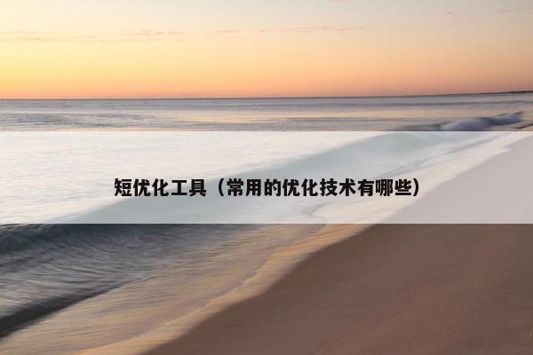短优化工具（常用的优化技术有哪些）