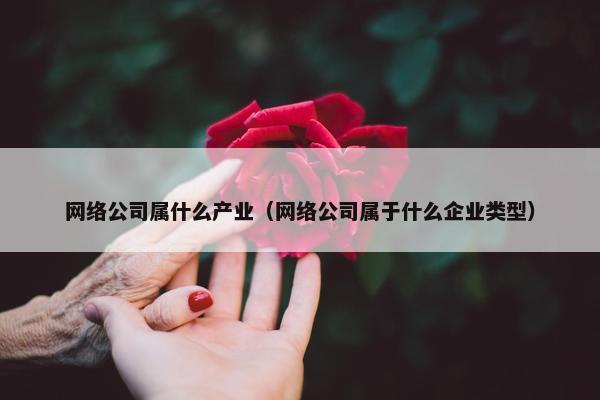 网络公司属什么产业（网络公司属于什么企业类型）