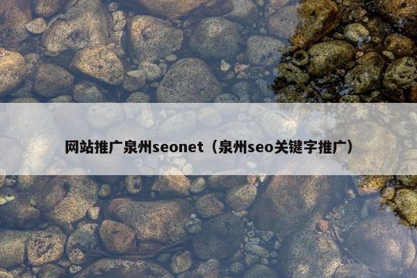 网站推广泉州seonet（泉州seo关键字推广）