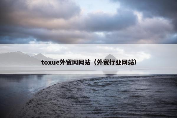 toxue外贸网网站（外贸行业网站）