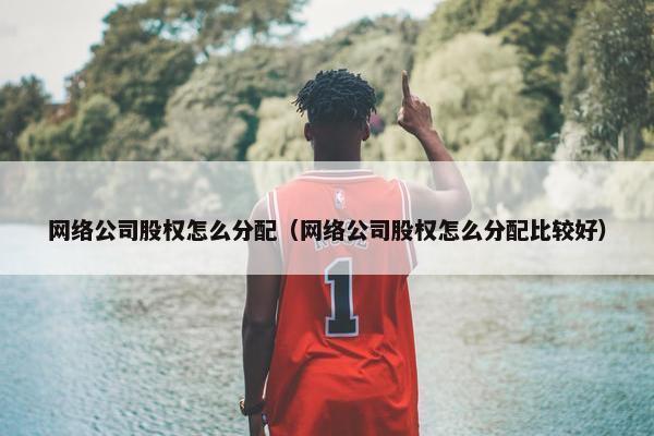 网络公司股权怎么分配（网络公司股权怎么分配比较好）