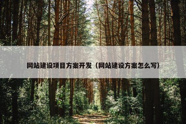 网站建设项目方案开发（网站建设方案怎么写）