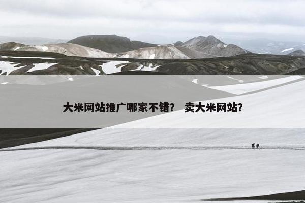 大米网站推广哪家不错？ 卖大米网站？