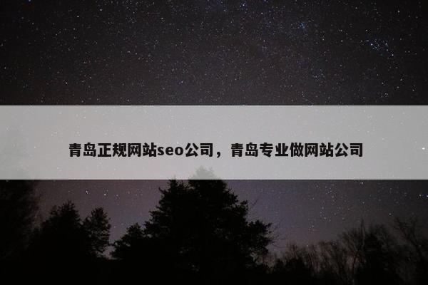 青岛正规网站seo公司，青岛专业做网站公司