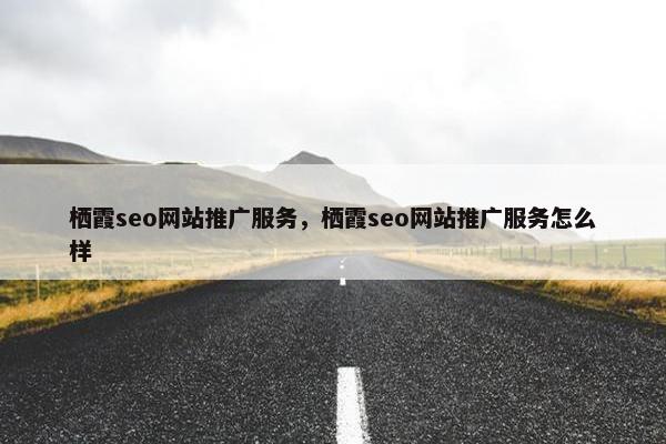 栖霞seo网站推广服务，栖霞seo网站推广服务怎么样